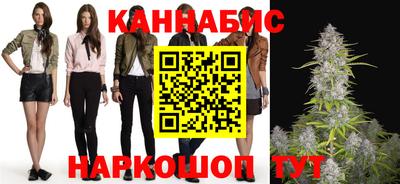 сатива Будённовск