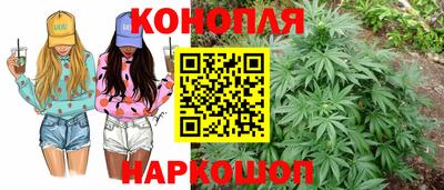 сатива Будённовск