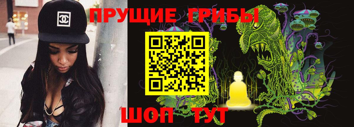 Псилоцибиновые грибы прущие грибы Тутаев