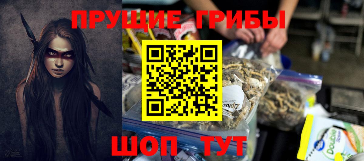 Галлюциногенные грибы Psilocybe  Псилоцибиновые грибы прущие грибы  Вход с VPN  Тутаев 
