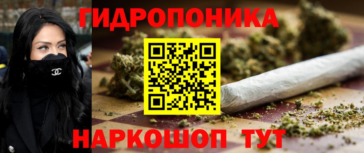 Конопля индика Тутаев